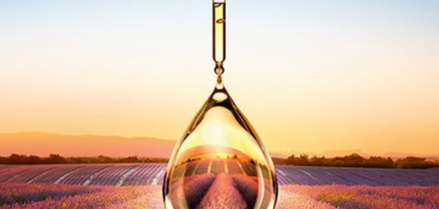 lavender field with a essential oil droplet graphic